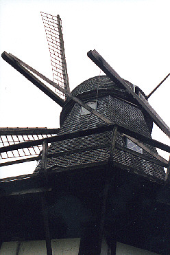 bogoe18