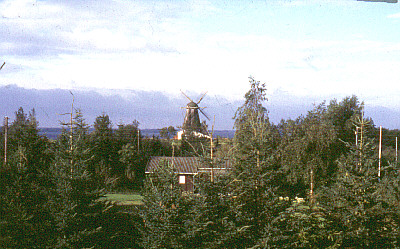 bogoe11