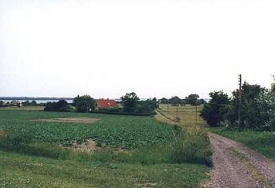 bogoe13