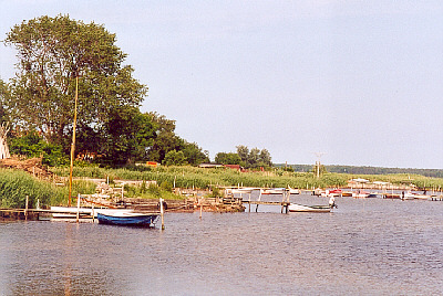 nyord10