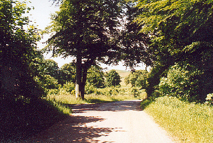 klint41
