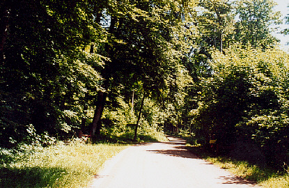 klint45
