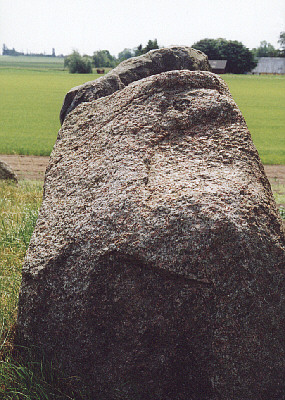 groensalen_bild04