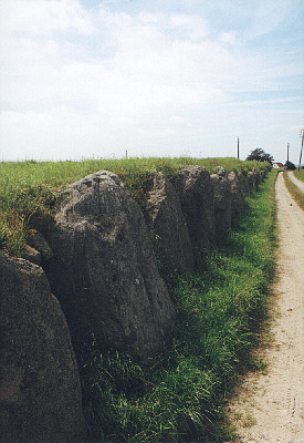 groensalen_bild08