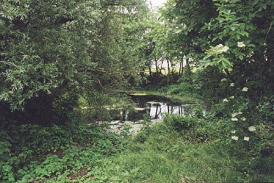 klekkendehoj_bild04