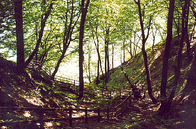 klint21