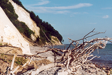 klint31
