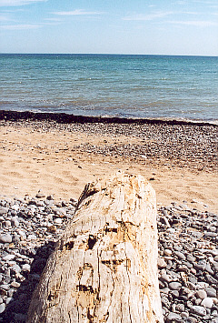 klint33