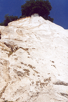 klint34