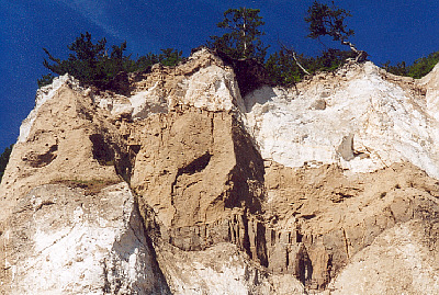 klint36
