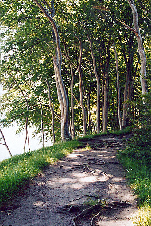klint07