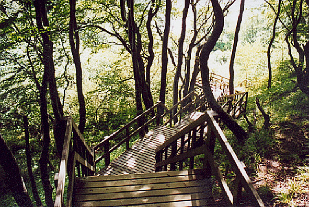 klint11