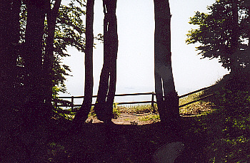 klint12