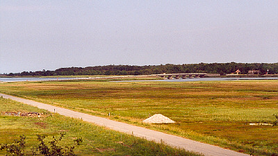 vogel02