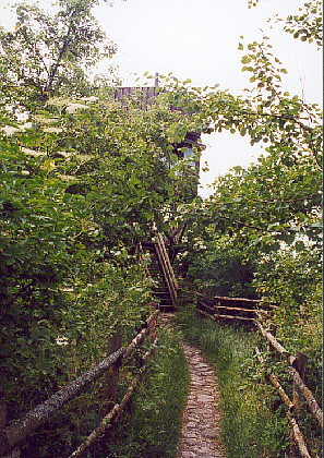vogel05