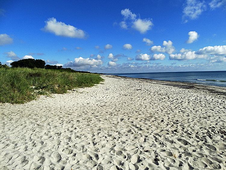 falster strand bild 02