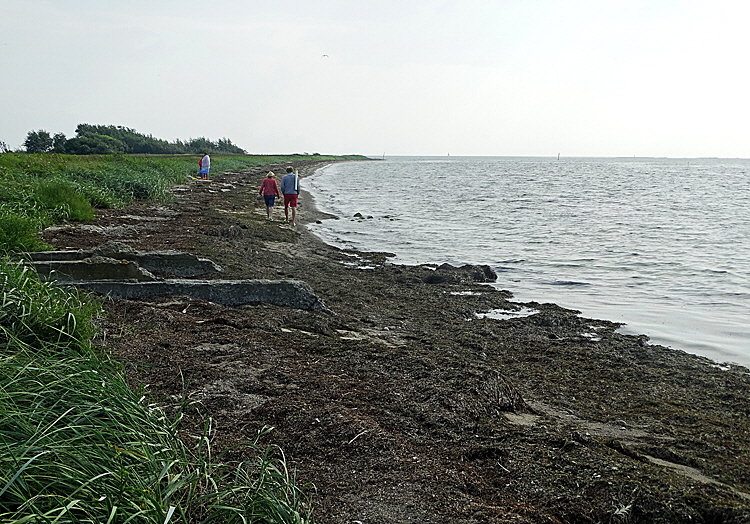 falster strand bild 04