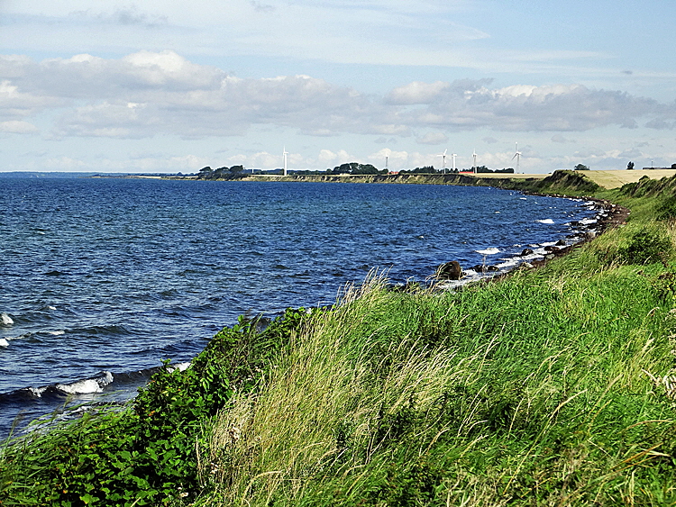 falster strand bild 07