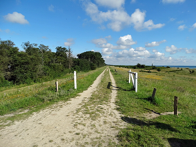 gedesby deich bild 01