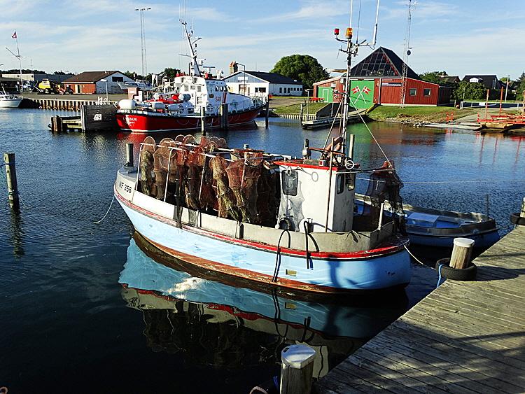 gedser fischereihafen bild 02