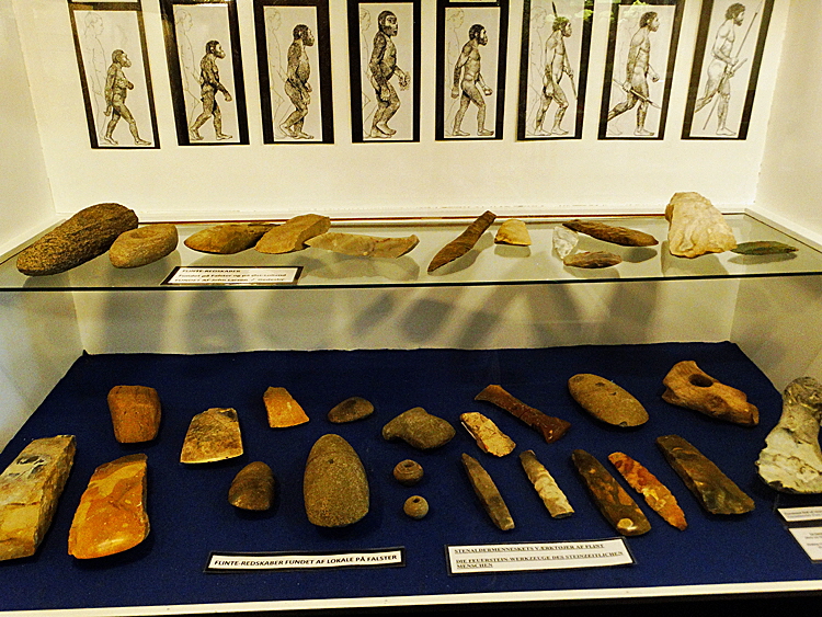 geomuseum feuerstein bild 01