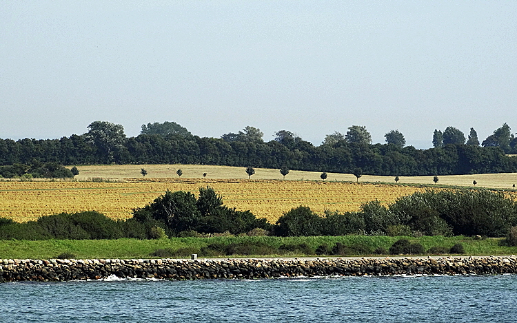 insel falster landschaft 01
