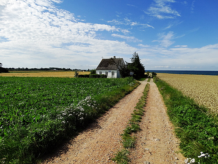 insel falster landschaft 04