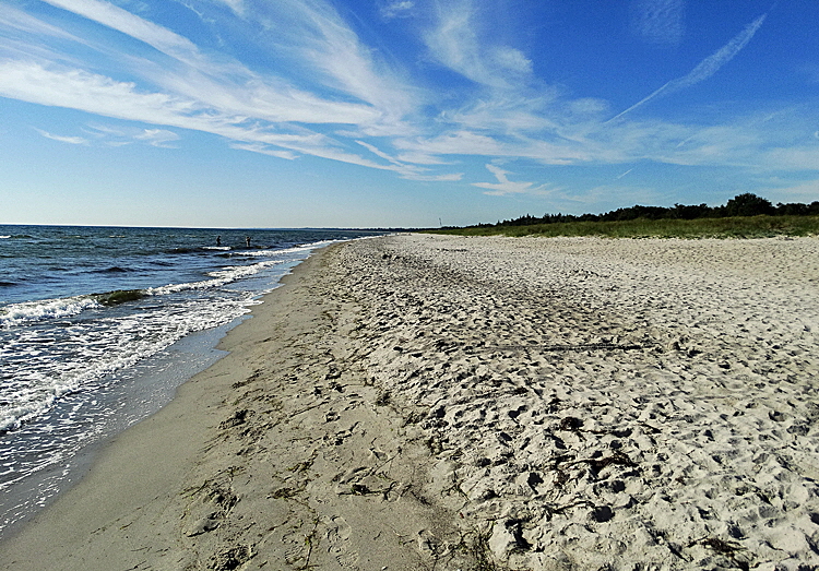 insel falster marielyst 01