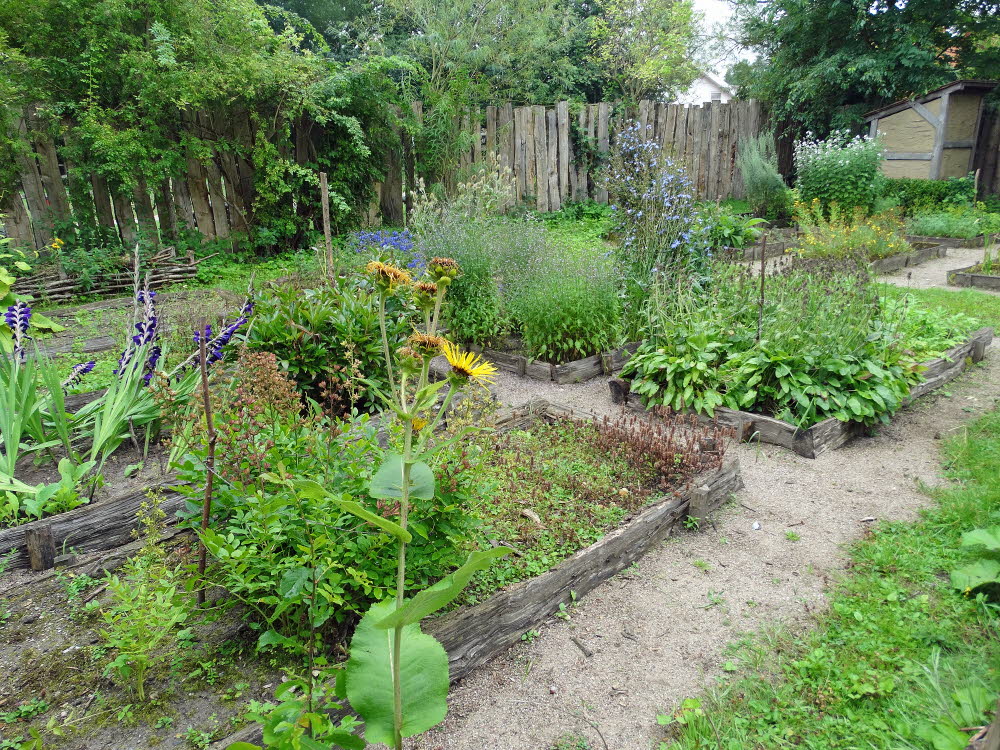 61a Heilkruter Garten im Mittelalter Center